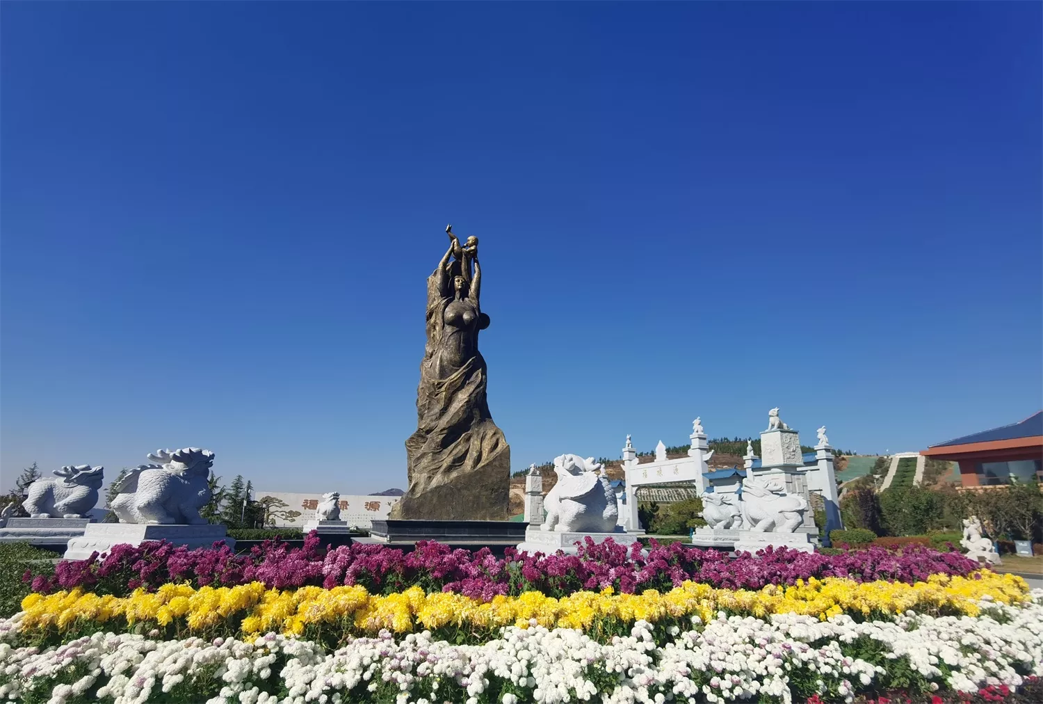 公益山东公司