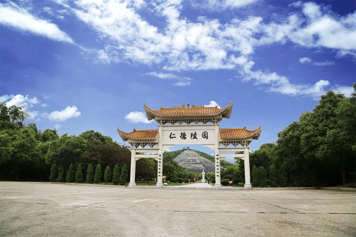 公益岳阳公司